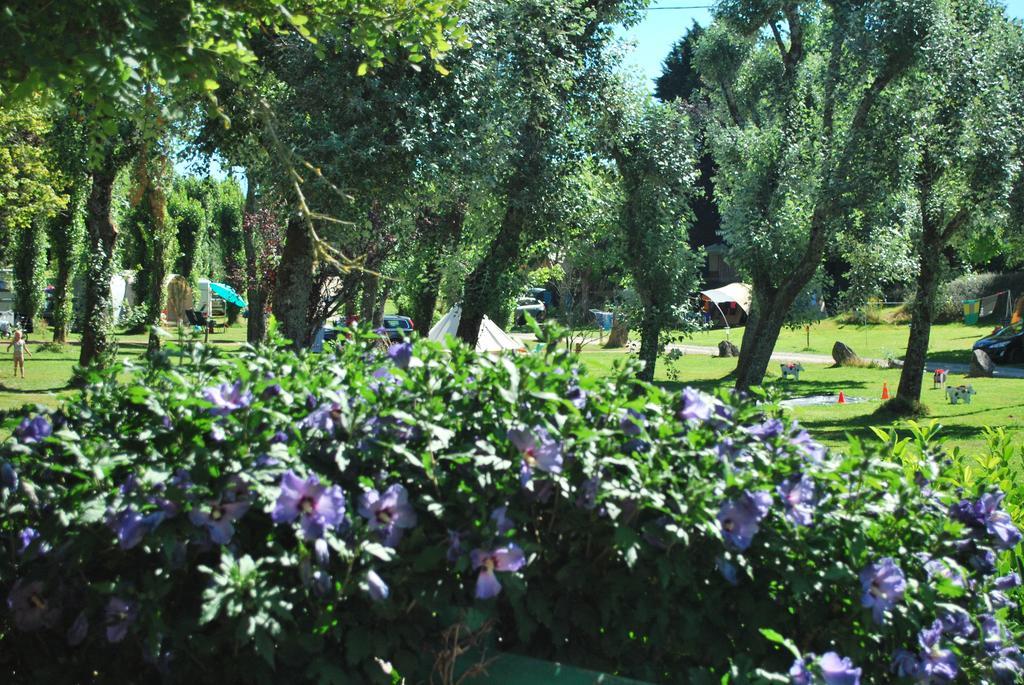 Camping Les Tournesols Sillé-le-Guillaume Exteriér fotografie