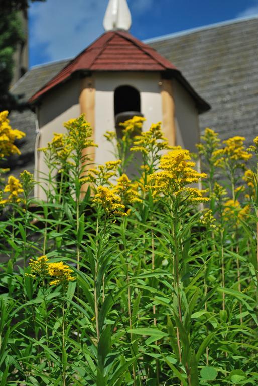 Camping Les Tournesols Sillé-le-Guillaume Exteriér fotografie