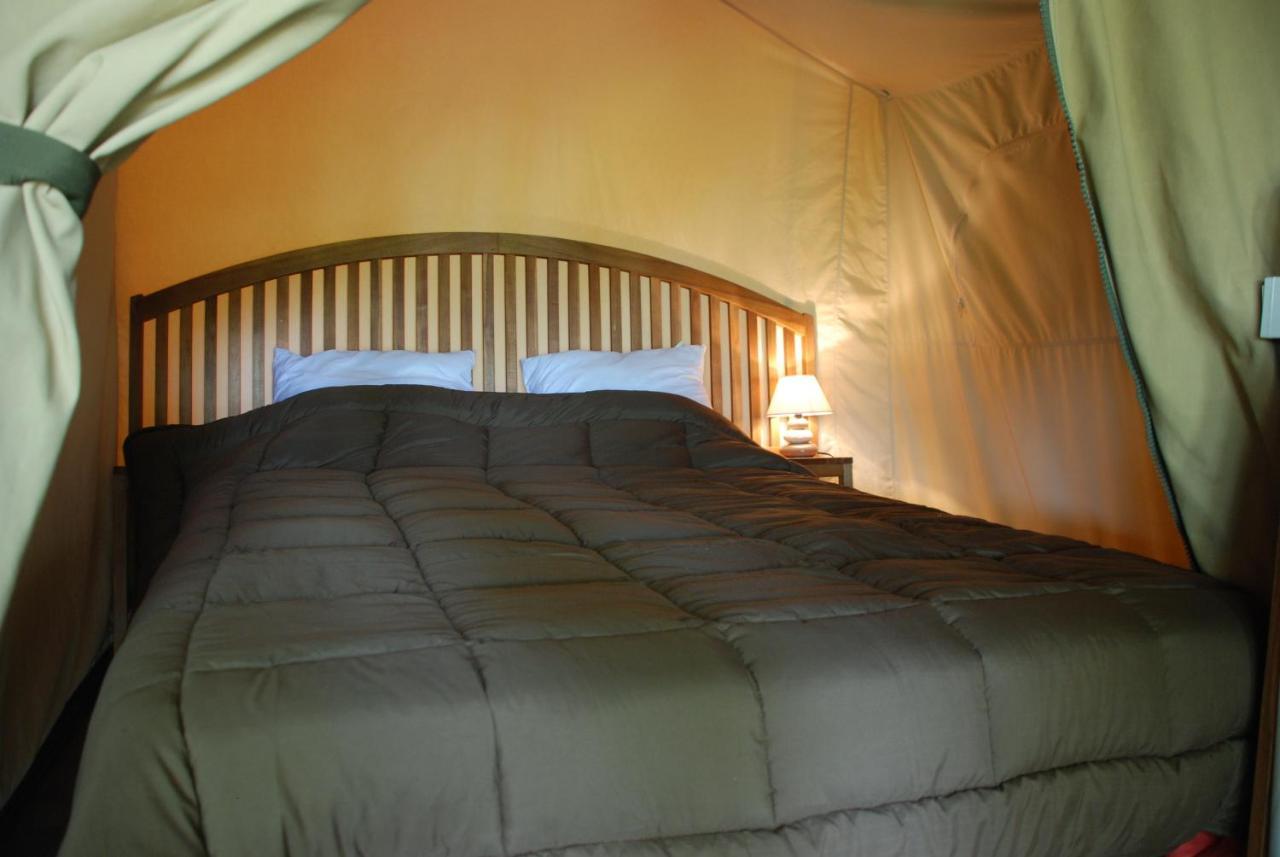 Camping Les Tournesols Sillé-le-Guillaume Exteriér fotografie